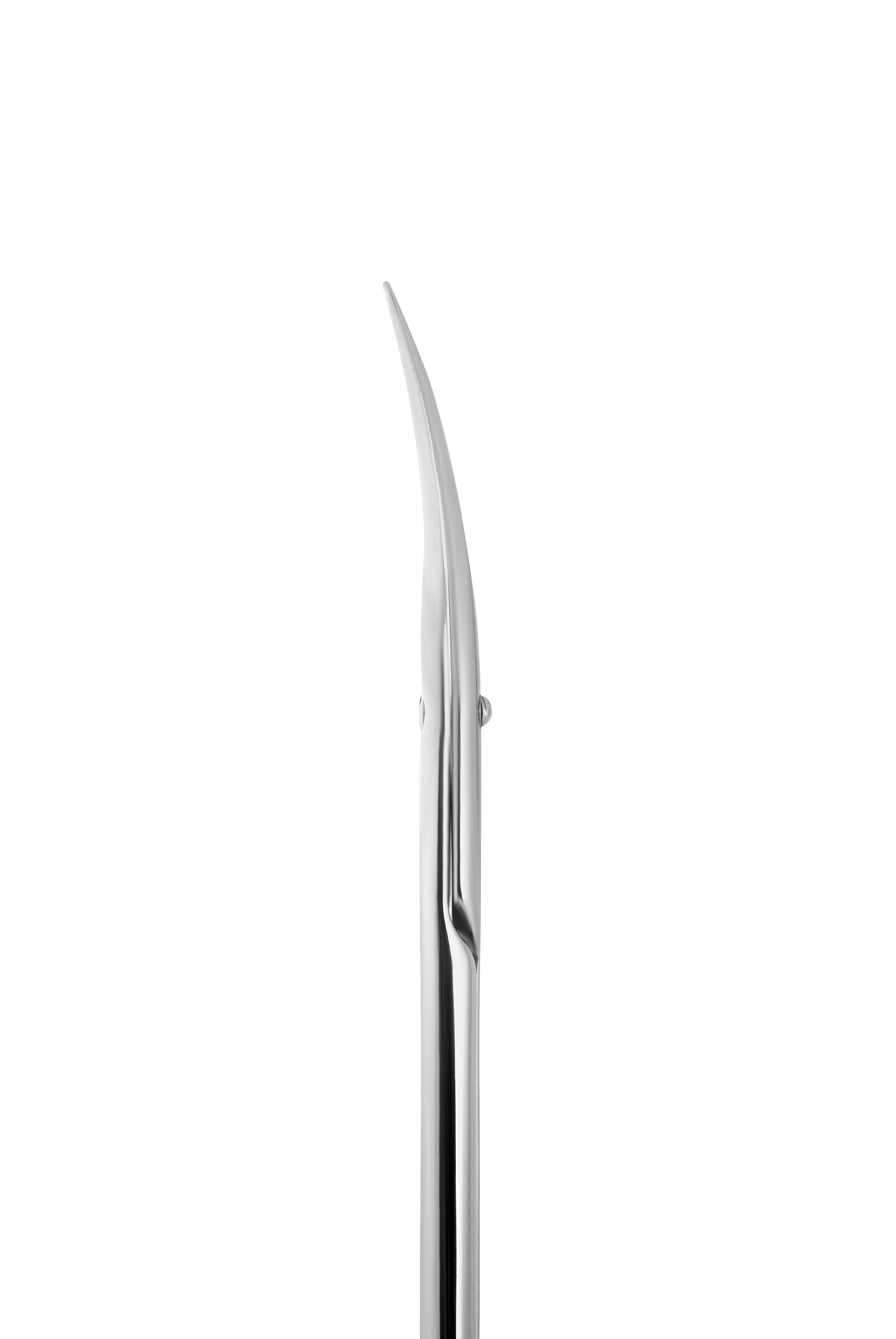 Staleks Professional cuticle scissors EXCLUSIVE 20 TYPE 1 (magnolia) - F.O.X Nails USA