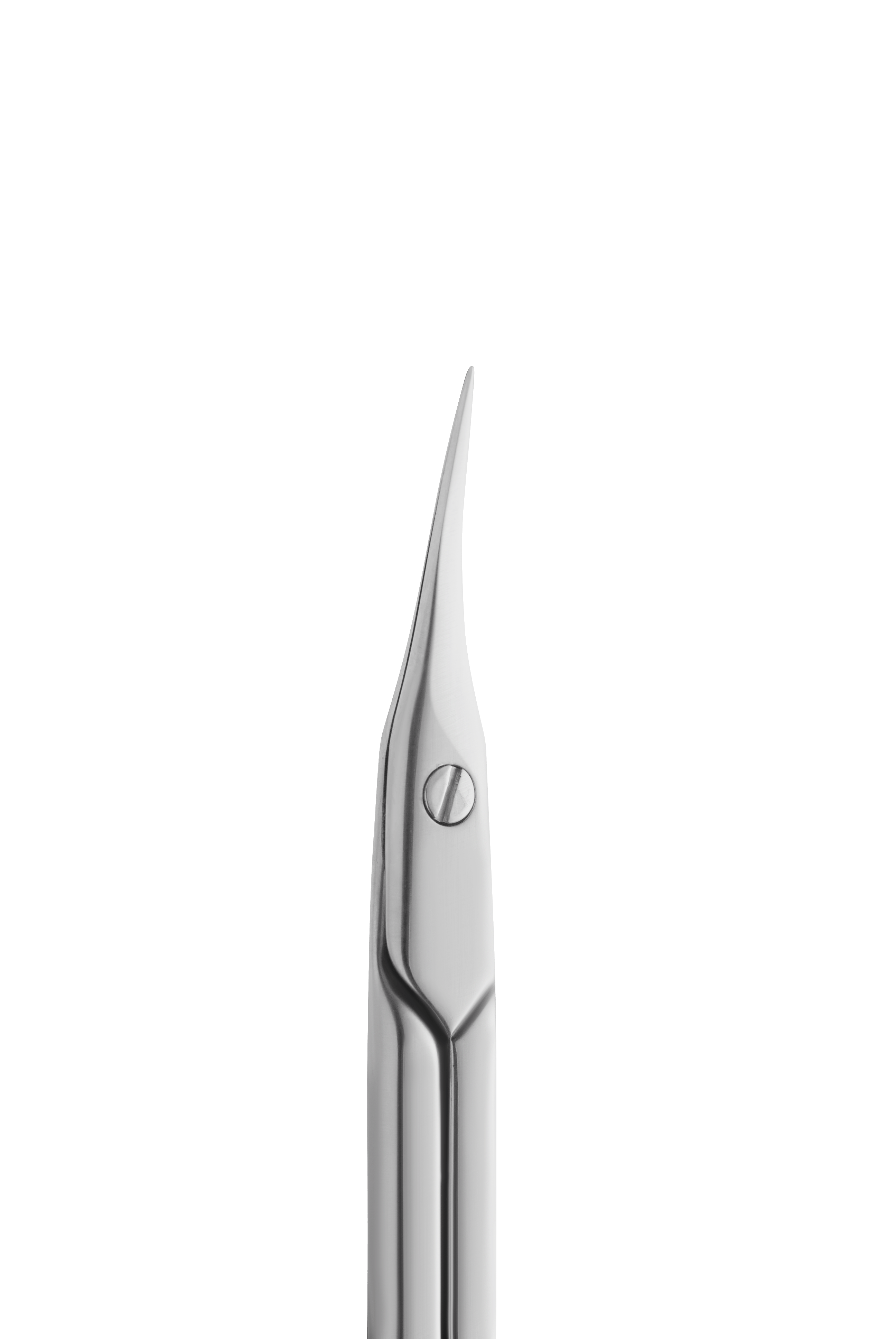 Staleks Professional cuticle scissors EXPERT 50 TYPE 1 - F.O.X Nails USA