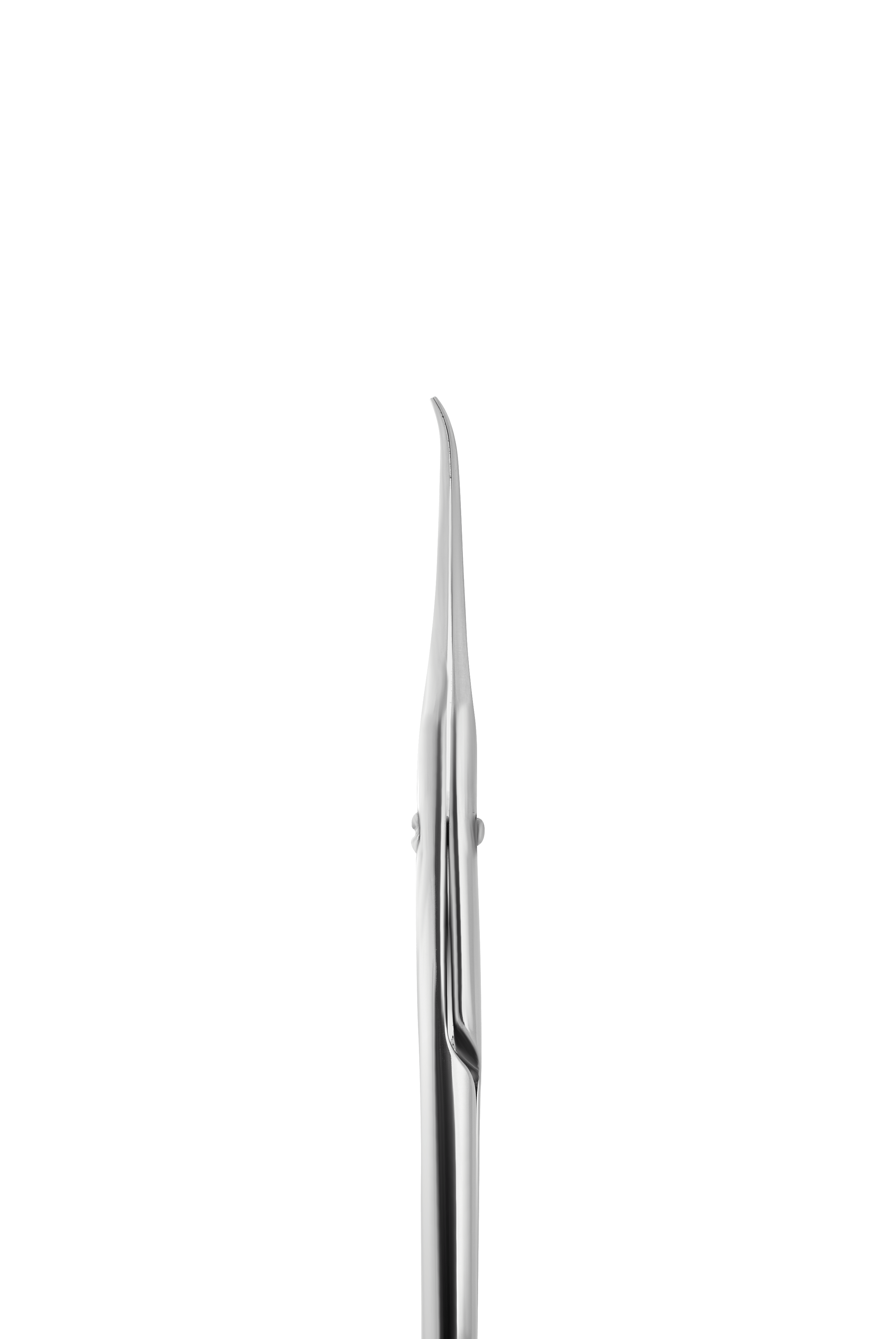 Staleks Professional cuticle scissors with hook EXCLUSIVE 21 TYPE 1 (magnolia) - F.O.X Nails USA