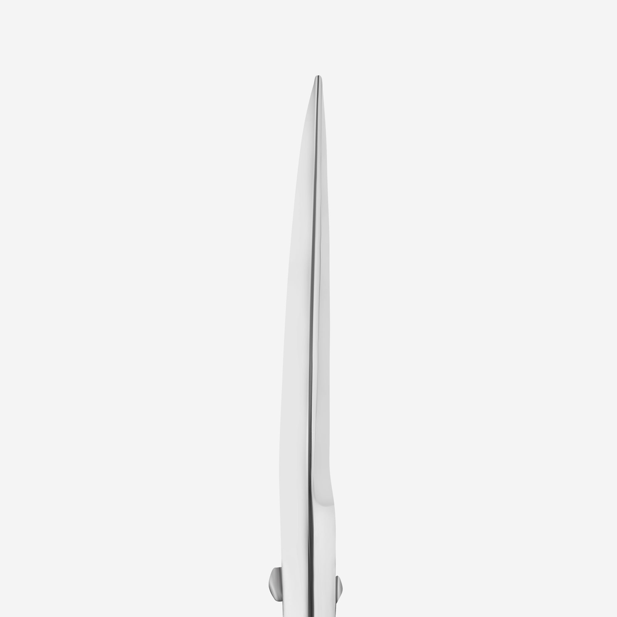 Staleks Professional scissors for eyebrows modeling EXPERT 30 Type 1 - F.O.X Nails USA
